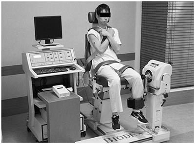 Transcranial Direct Current Stimulation Does Not Affect Lower Extremity Muscle Strength Training in Healthy Individuals: A Triple-Blind, Sham-Controlled Study